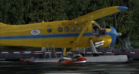 Amphib.jpg