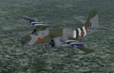 ms_a20c_rafdday.jpg