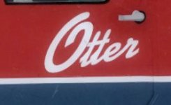 Otter.jpg