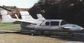 quiz unusual canard.jpg