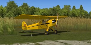 Baby-Ace-7.jpg