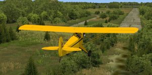 Baby-Ace-4.jpg