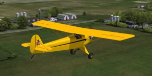 Baby-Ace-2.jpg