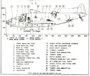 pv1 nose.jpg