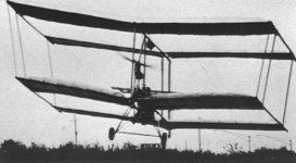 Boxmoth B.jpg