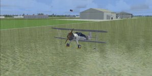 Hawthorne 2.jpg