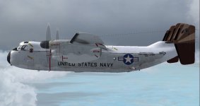 VRC 40 CAG Bird 1.jpg