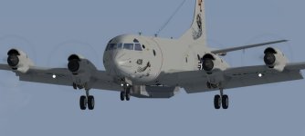 p-3c_lsrs.jpg