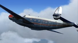 ms-2019-jan-23-013.jpg