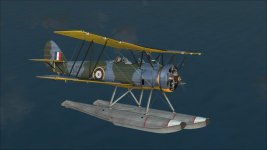 SeaTutor_03.jpg