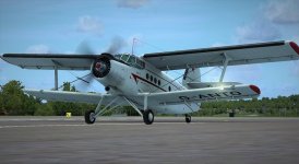 G-ANTO_01.jpg
