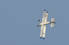 LadyLuck_02.jpg