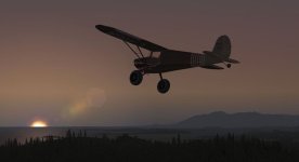 Tiger04.jpg