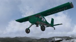 wilga 4.jpg