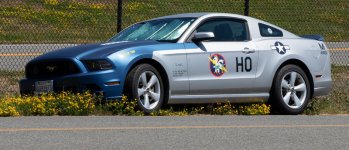 Mustang-X3.jpg