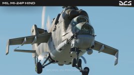 hind3.jpg
