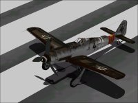 Fixed Wings.jpg