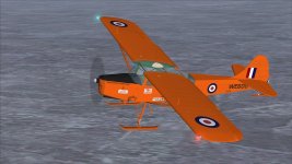 Auster_019.jpg