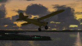 Cub Landing.jpg