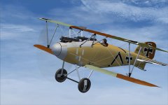 Alb DIII Fs9 1.jpg