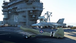 seaf01.jpg