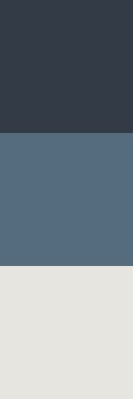 US_NAVY_TRI_COLOR.jpg