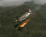 BOF 002.jpg