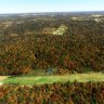 Buck Holler 95VA