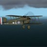 Sopwith Dolphin 79 sq.