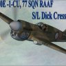 SC-RAAF Skin for the FDG 2 P40E.zip