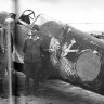 Akemi's KI-61 Hien "Shinbu-Tai" textures #1.zip