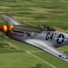 Flight 1 Double Trouble P-51D Moose