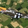 Flight 1 Double Trouble P-51 LOU IV