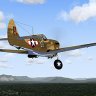 P-40F-10 for FS9_with_updates.zip