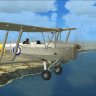 Tiger Moth_XL 716