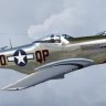 P-51D "Red Dog" (N514RP)