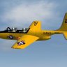 Temco TT-1 Pinto & Super Pinto for FS9.zip