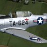 North American AT-6 Texan "Beetle Bum"
