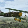 Fokker DVII - Jasta 10 - Offz-Stv Paul Aue