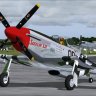 Alphasim P-51D Mustang "Sizzlin' Liz" V2 for FS9.zip