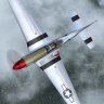 P-51D Mustang "Red Dog".zip