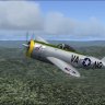 Virginia Air Guard P-47.zip