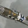 Wings of Power 3: P47 'SNAFU'