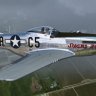Warbirdsim P-51D Mustang N5420V "Swamp Fox"