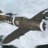 P-47D 3rd FS/318th FG "Sonny Boy".zip