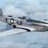 P-51D 479th FG/434th FS L2-X 'Rumboogie JR.'.zip