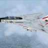 VF-41 Black Aces For Iris Simulations F14 Tomcat Package.zip