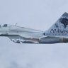 IRIS MiG-29A FAP 20anos.zip