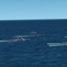 New textures for Stuart277 Atlanta class CL53 San Diego and CL54 San Juan in 1942 43 44