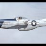 P-51D Mustang "Moonbeam McSwine".zip